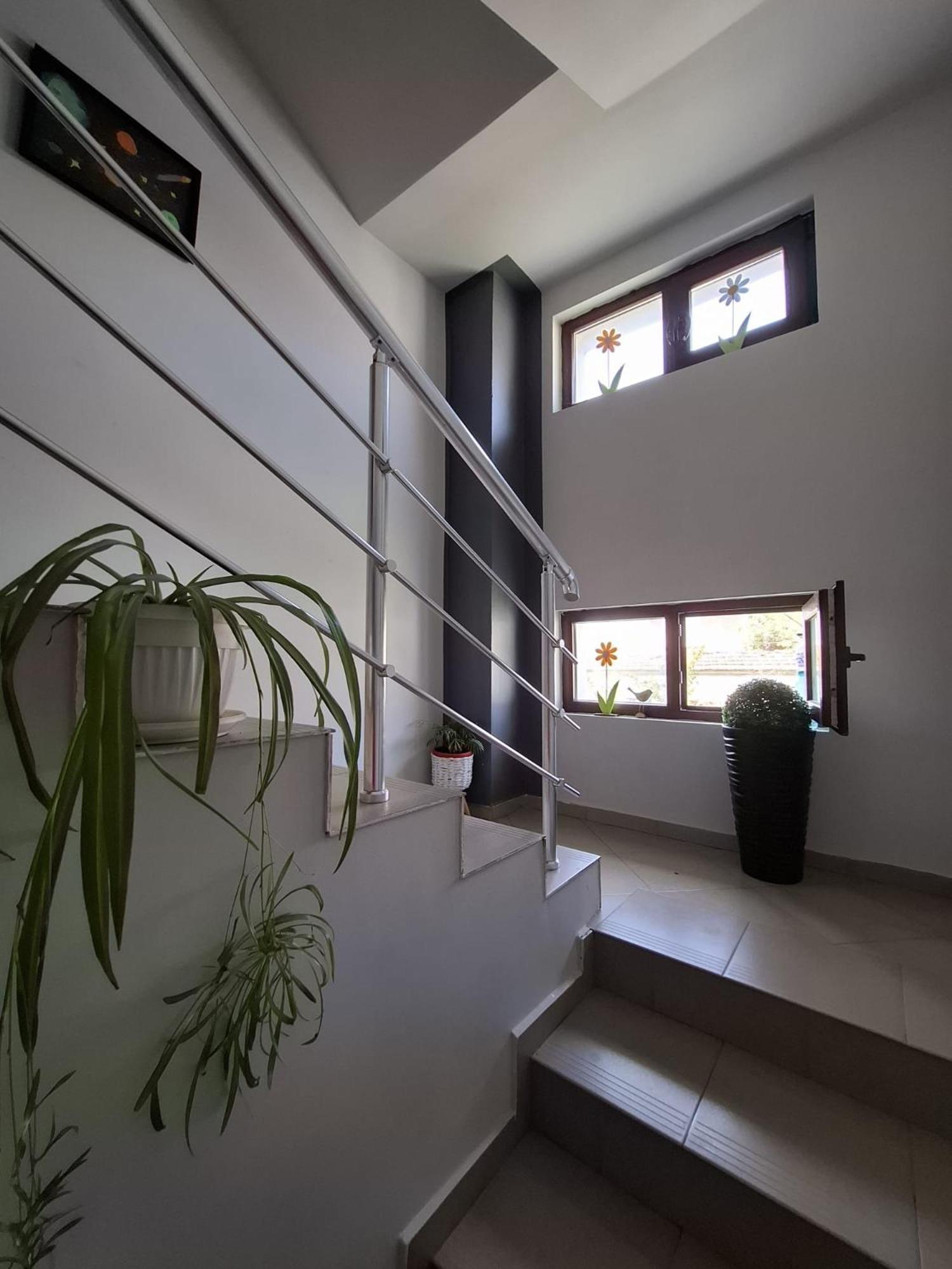 Guest Rooms Simona 2 Opanets Ngoại thất bức ảnh